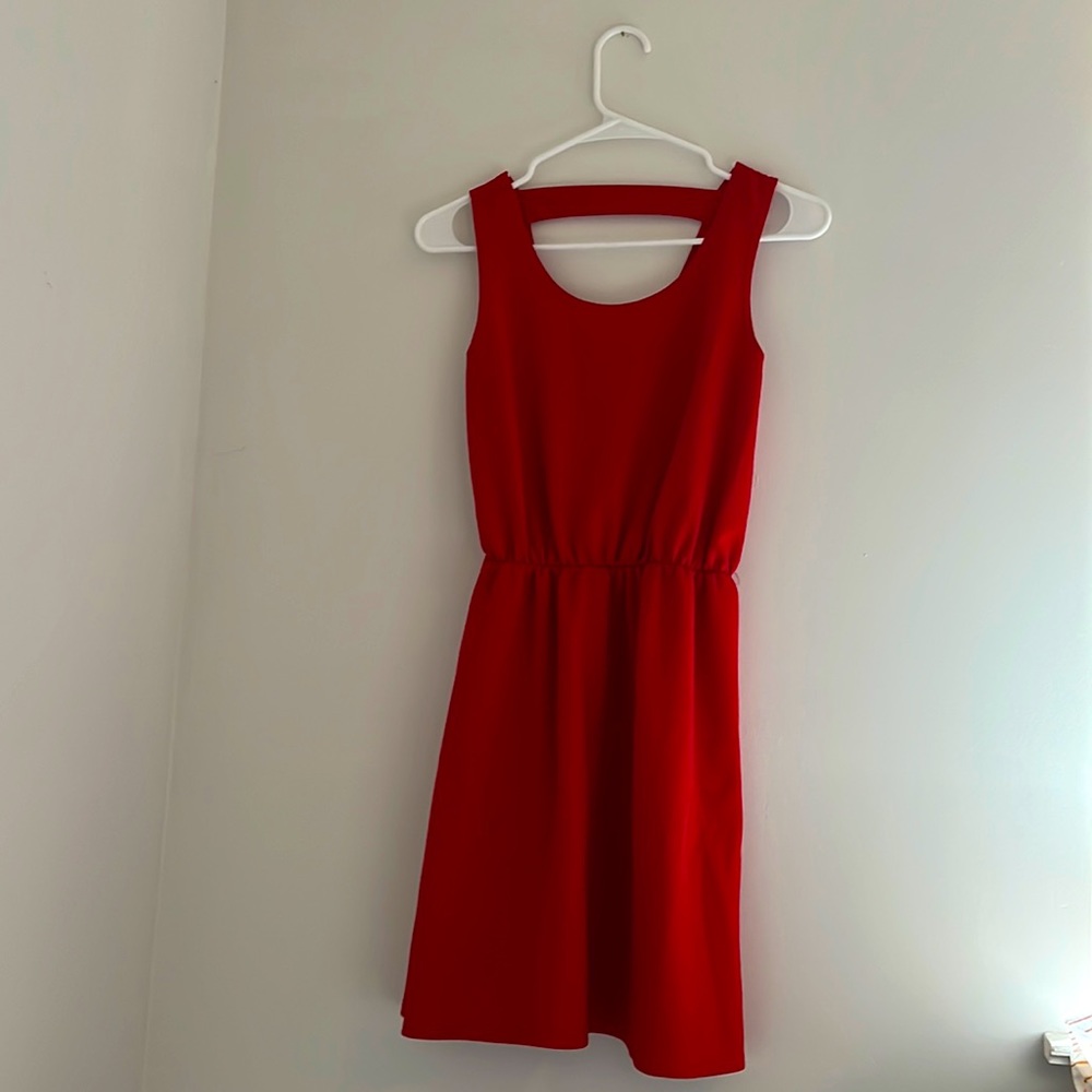 Pink Rose Red Dress